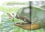 Monstro book11