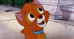 Oliver, Disney Wiki