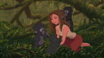 Jane laughs as three baby gorillas play with her hair