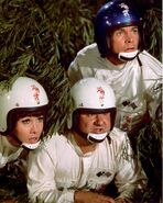 The Love Bug 5.jpg (343 KB)