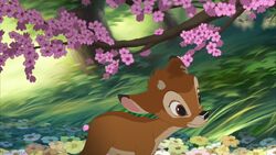 Bambi, Disney Wiki