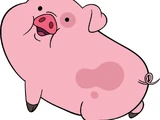 Waddles