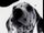 102 Dalmatians - Digga Digga Dog