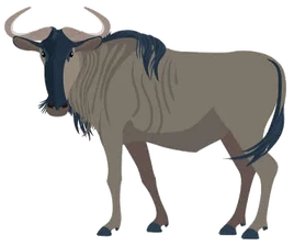 166207442-gnu-african-wild-mammal-wild-animal-in-africa-vector