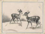 Bambi and Faline by Marc Davis