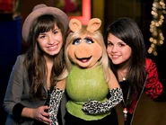 DemiLovato-MissPiggy-SelenaGomez.jpg (103 KB)