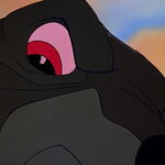 The Bear Disney Wiki Fandom