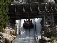 Grizzly River Run 9