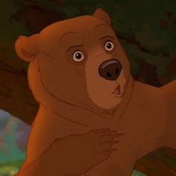 Categoría:Osos | Disney Wiki | Fandom Categoría:Osos | Disney Wiki | Fandom