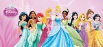 Disney-Princess-disney-princess-34417066-500-225