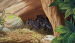 The wolf pups hearing infant Mowgli crying