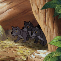 Wolf Pups Disney Wiki Fandom Main charactersthe film's protagonist and a black panther who found the infant mowgli in the jungle and took him to the wolf pack. wolf pups disney wiki fandom
