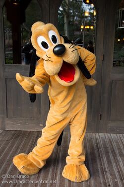 Pluto WDW