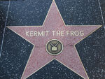 Kermit the Frog HWOF
