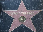 Kermit the Frog