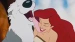 Max is happy to lick Ariel again.
