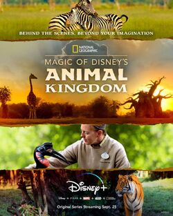 Magic of Animal Kingdom Poster