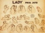 Lady- model sheet