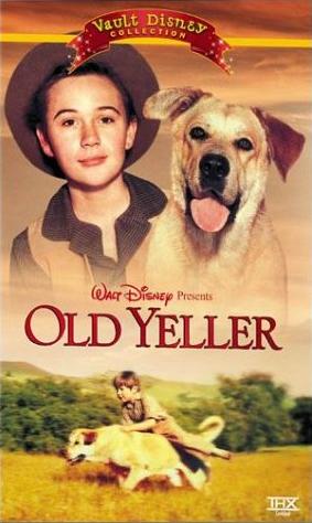 old yeller book pages