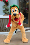 Xmas pluto dca