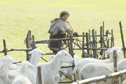 Once Upon a Time - 1x06 - The Shepherd - Photography - David and Sheep