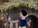 Snow-white-disneyscreencaps.com-2271