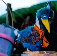 Br'er Roadrunner (Florida).jpg (286 KB) Br'er Roadrunner in Magic Kingdom's version of the Splash Mountain attraction (1992-2023)