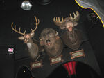 Melvin, Buff, and Max at the Many Adventures of Winnie the Pooh ride in Disneyland.