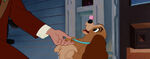 Lady-tramp-disneyscreencaps.com-1454