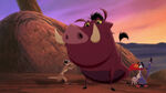 Ending Zazu Poor Timon and Pumbaa about to cry ending