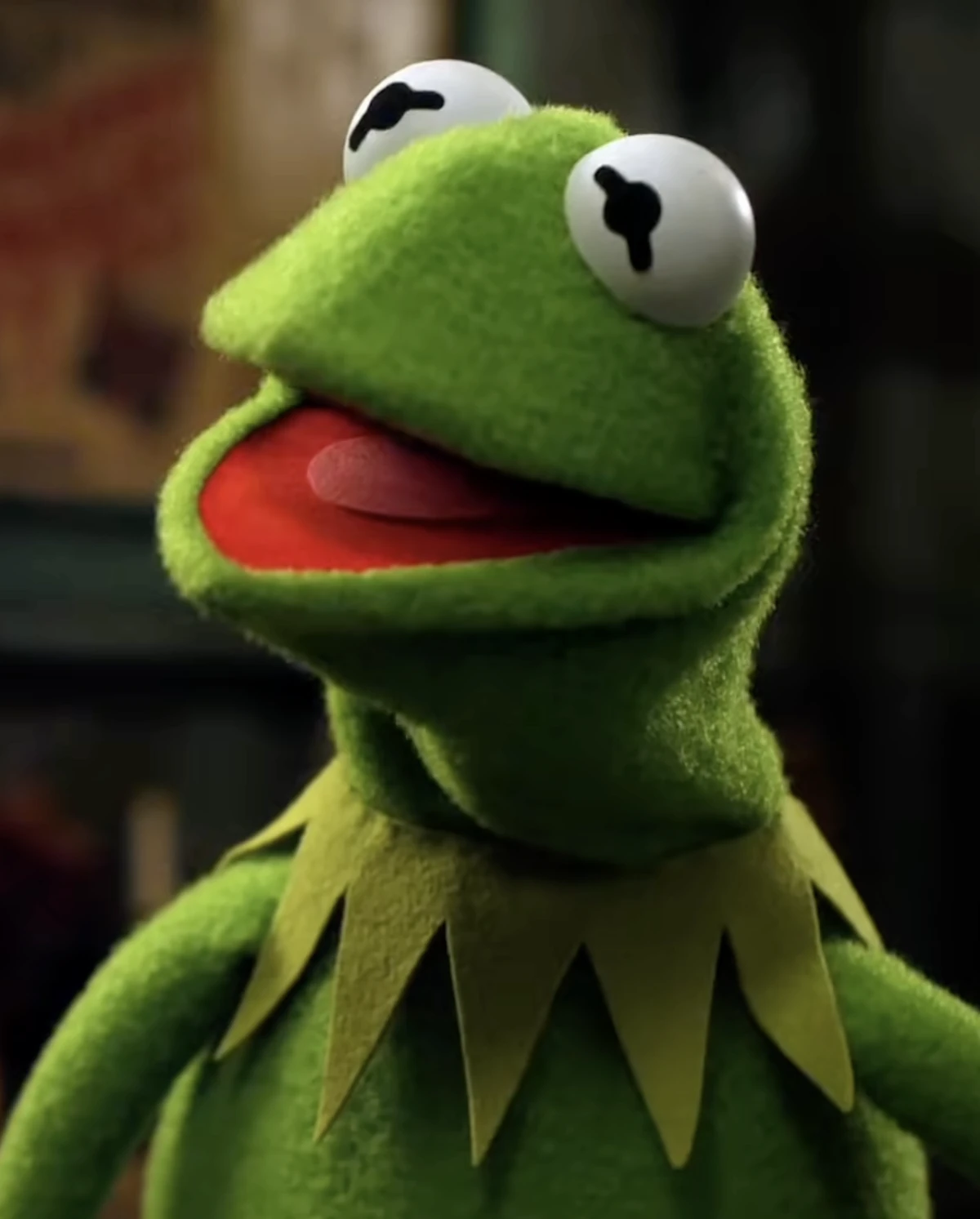 Kermit the Frog | Disney Wiki | Fandom