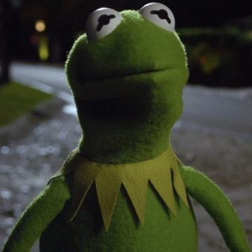 Kermit the Frog | Disney Wiki | Fandom