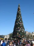 Magic Kingdom's Christmas Tree