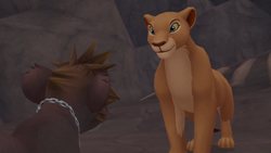 Nala Gallery Disney Wiki Fandom