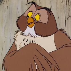 Category:Owls | Disney Wiki | Fandom