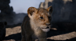 The Lion King (2019 film) (3)