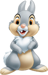 Thumper (Walt Disney's Mickey Mouse's Birthday Party)