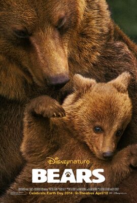 Bears 2014 film.jpg