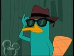 Perry putting on shades