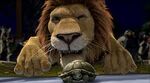 Samson a punto de disparar una tortuga en el campeonato de hockey