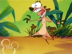 Timon funny face