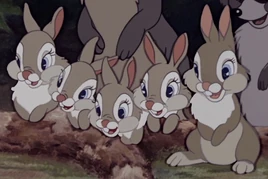 C8C4FBA5-6351-4D17-9042-4573BD4252F4