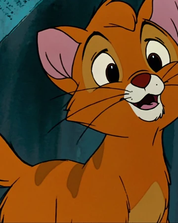 orange cat crossing your path