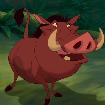 Disney's Wild About Safety Complete 22 Card Set featuring Pumbaa and Timon Disney's Wild About Safety Complete 22 Card Set featuring Pumbaa and Timon