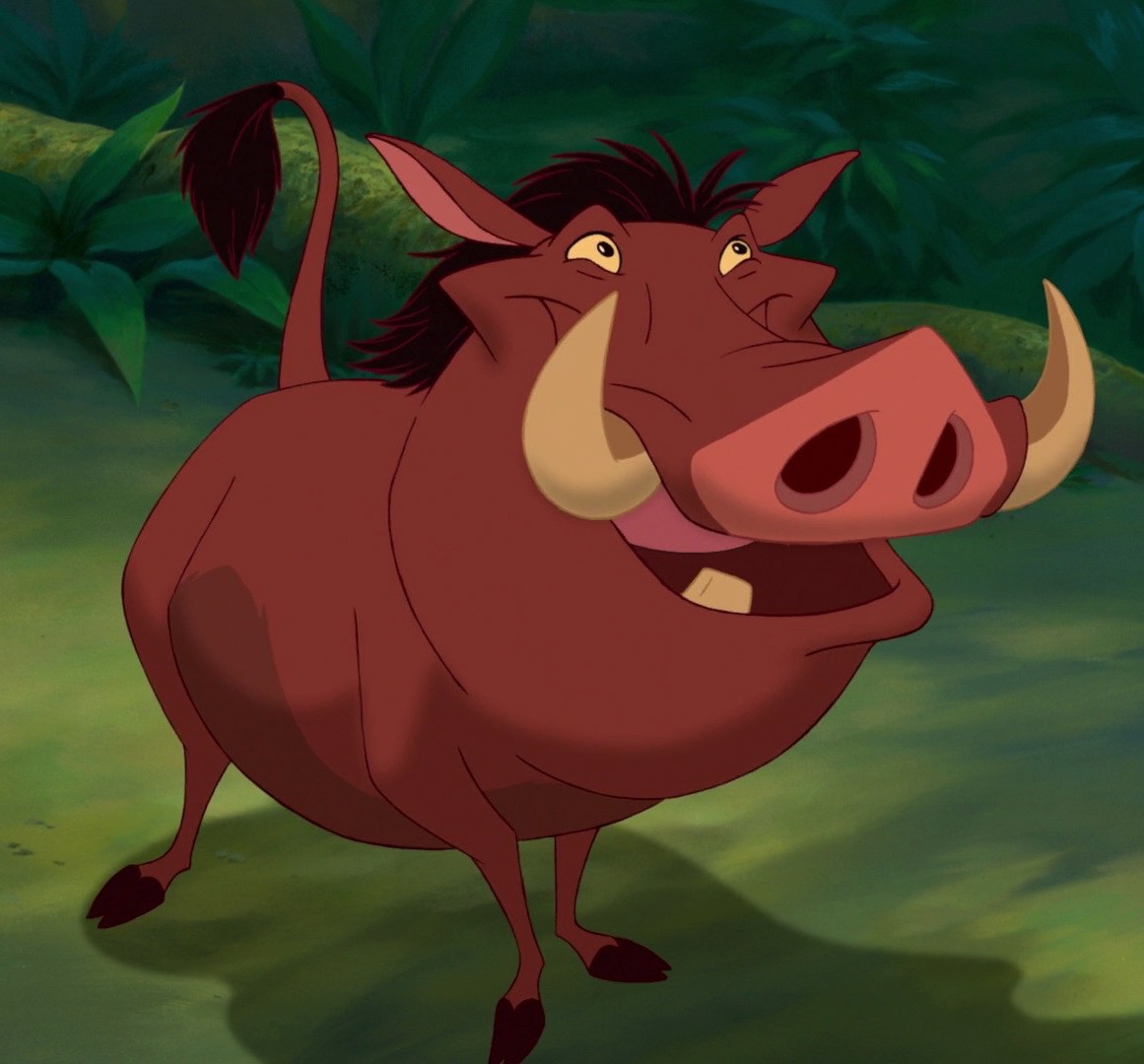 lion king characters pumba