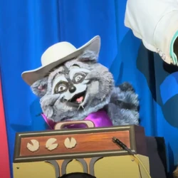 Famous Cartoon Raccoons