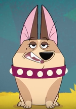 Clarissa Corgi.png