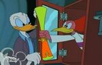 Donald with Aracuan Bird