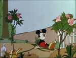 Mickey's Garden-31