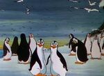 Peculiar penguins 2